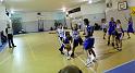 Basket 242095